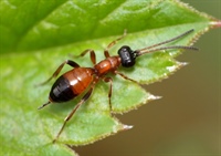 Materiały edukacyjne dla dzieci Publicznego Przedszkola w Korytnicy